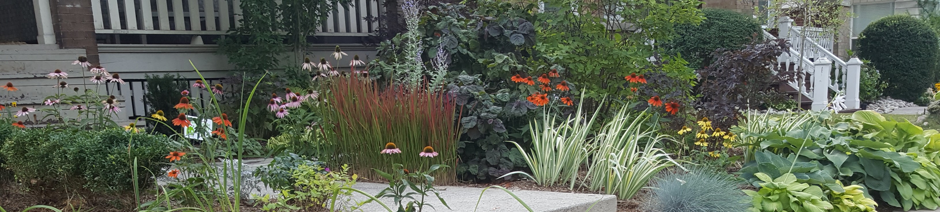 A Stripe of Garden